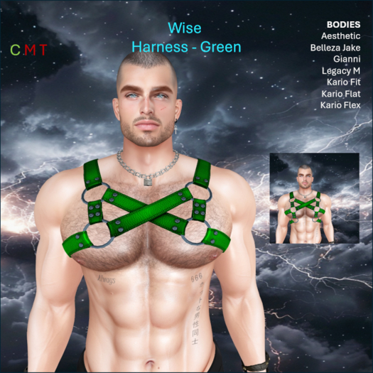 WiZe Delivery (Add) - WiZe Rage Harness Green