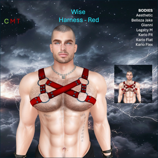 WiZe Delivery (Add) - WiZe Rage Harness Red