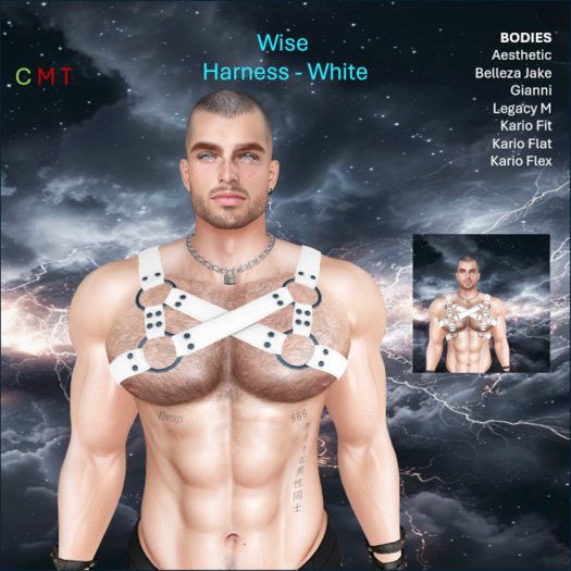 WiZe Delivery (Add) - WiZe Rage Harness White