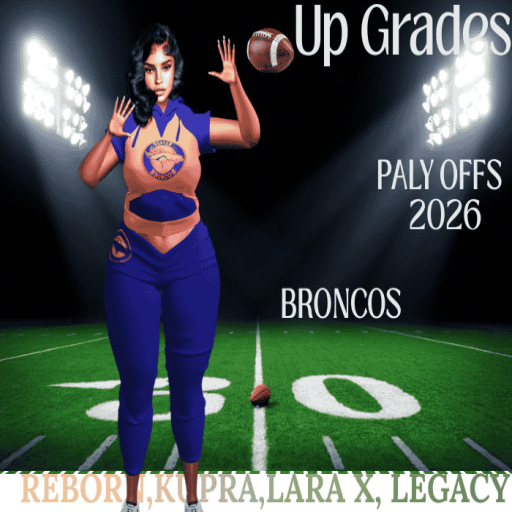 PLAY OFFS  2026 BRONCOS