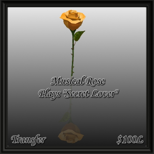 Musical Rose - Secret Lover