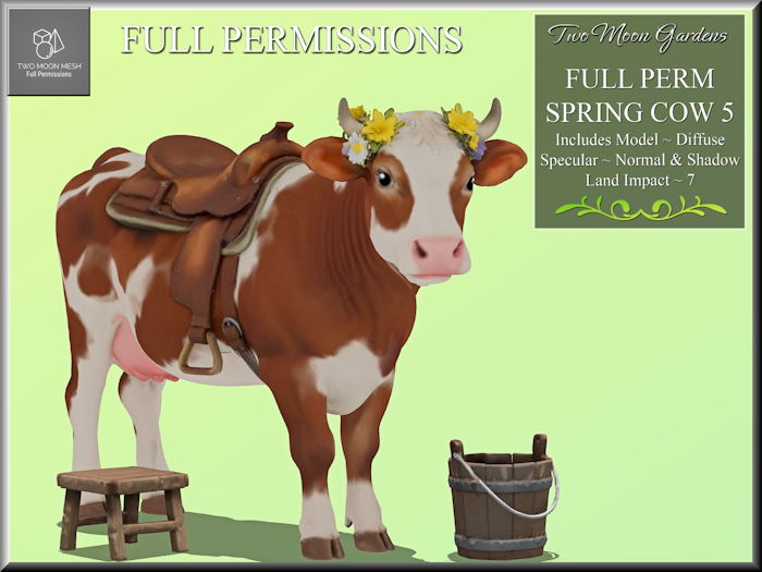 Full Perm Cow 5