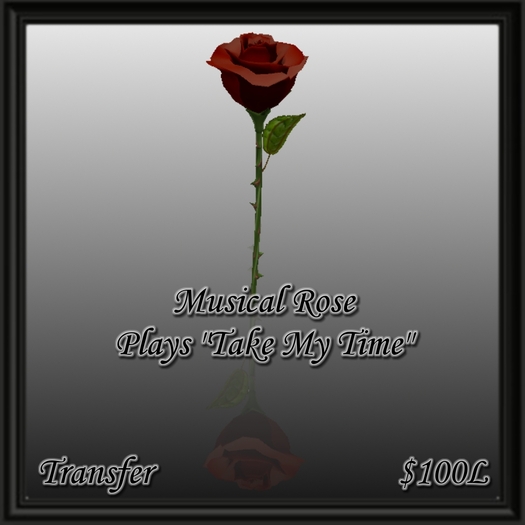 Musical Rose - Take My Time
