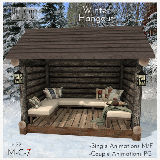 Winter Hangout 