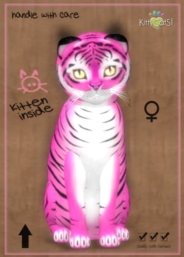 MEGAPUSS: KittyCatS Box - Tiger! - BubbleGum - MegaPuss