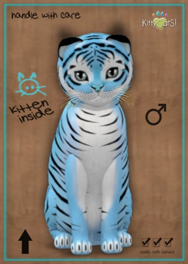 MEGAPUSS: KittyCatS Box - Tiger! - Powder Blue - MegaPuss