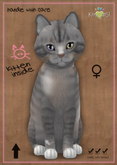 MEGAPUSS CHUBBY: KittyCatS Box - European Shorthair - Tuscan Terra - MegaPuss Chubby