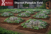 MyStory Pumpkin Field (Discreet v1.6)