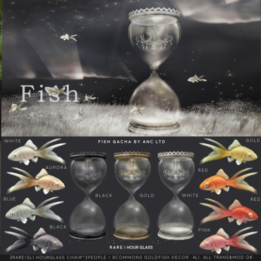 6) {anc} fish / goldfish (white) 4Li