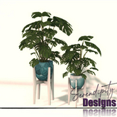 Serendipity Designs - Cape May BR Potted Monsteras