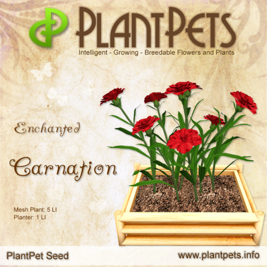 PlantPet Seed [Carnation *Enchanted*]