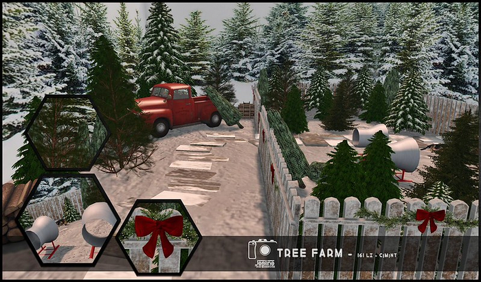 Joplino Backdrop Tree Farm
