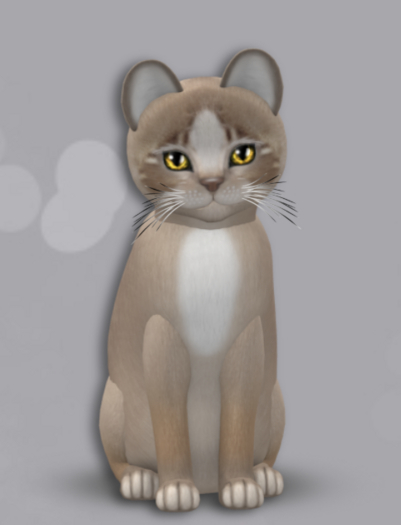 KittyCatS Box 15 M