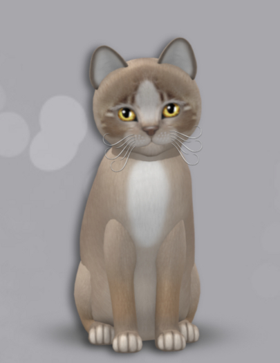 KittyCatS Box 18 M