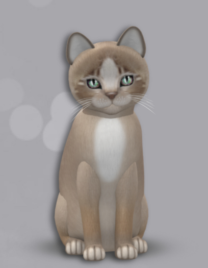 KittyCatS Box 21 M