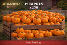 MyStory Pumpkin x 250