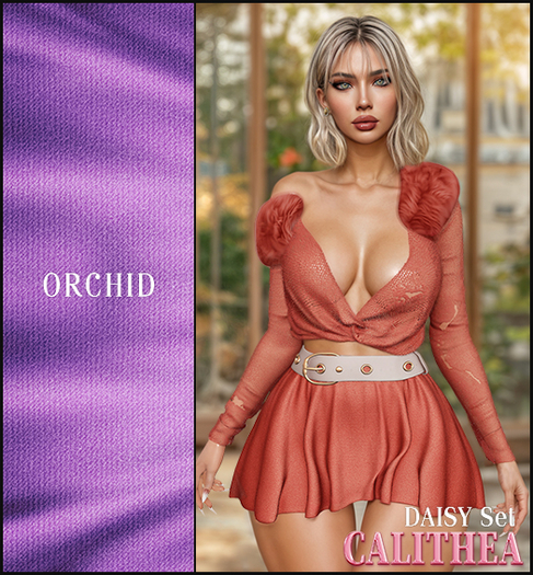 CALITHEA . Daisy Set . Orchid