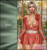 CALITHEA . Daisy Set . Sage