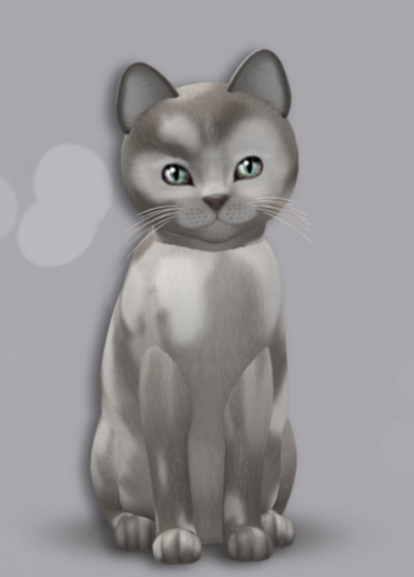 KittyCatS Box 23 M