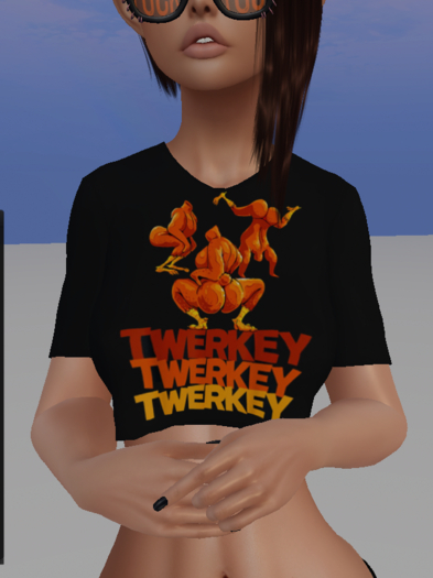 FD Tee twerkey 3x