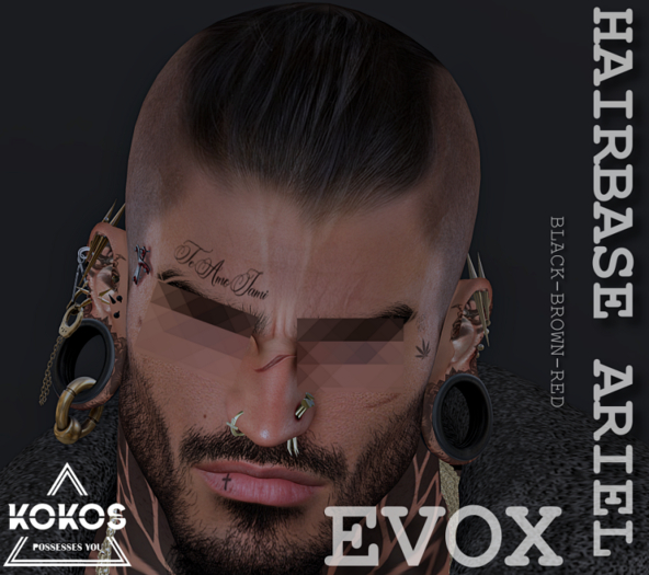 KOKOS-HAIRBASE ARIEL