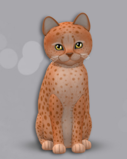 KittyCatS Box 25 M