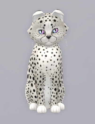 KittyCatS Box 31 M