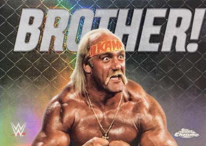 SELFMADE - Hulk Hogan BROTHER tipper