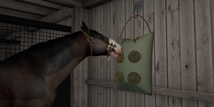 SundayS / Hay Bag