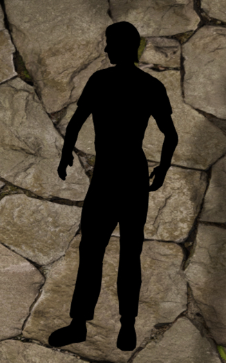 [ZAD] System Shadow Person