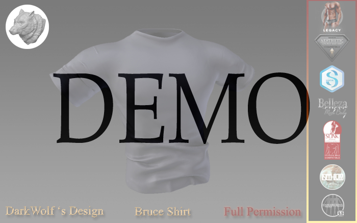 Bruce Shirt Men Demo