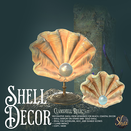 *Shai* Shell Decor - Clamshell