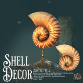 *Shai* Shell Decor - Nautilus