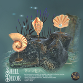 *Shai* Shell Decor Collection 