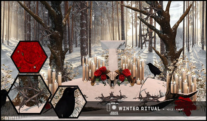 Joplino Backdrop Winter Ritual