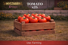Tomato 25 [MyStory]