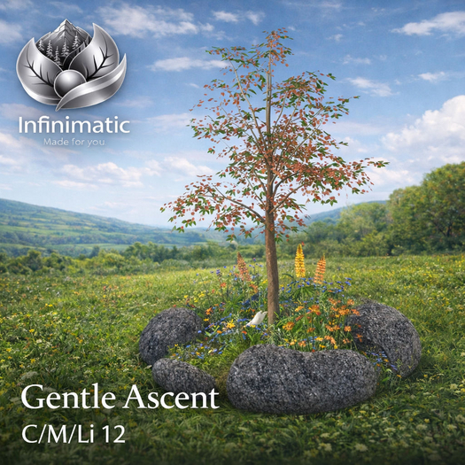 Gentle Accent (add)