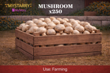 MyStory Mushroom x 250