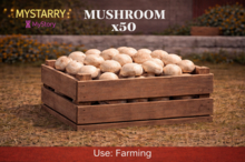 Mushroom 50 [MyStory]