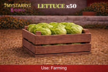 Lettuce x50