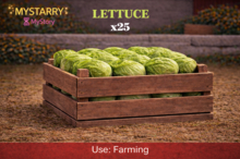 Lettuce 25 [MyStory]