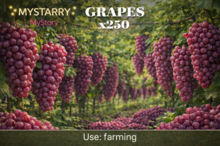 MyStory Grapes x 250