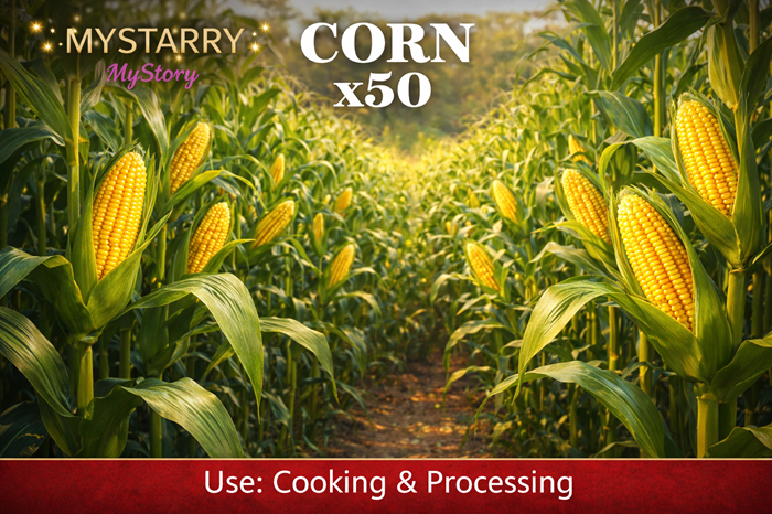 Corn 50 MyStory