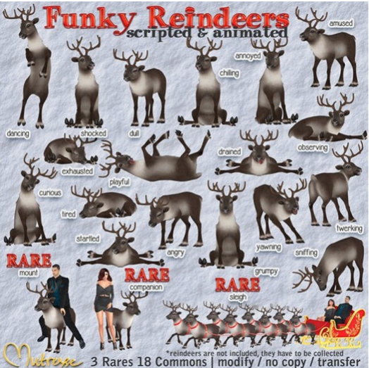 Mutresse-Observing-Funky Reindeers
