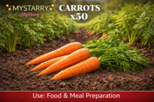 Carrotx50
