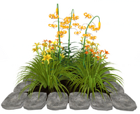 Yellow Lily Flowers in a Stone Square Border(7LI, 2x2)