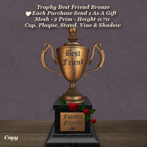 Trophy Best Friend Bronze1