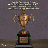 Trophy Best Friend Bronze1
