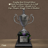 Trophy Best Friend Silver1