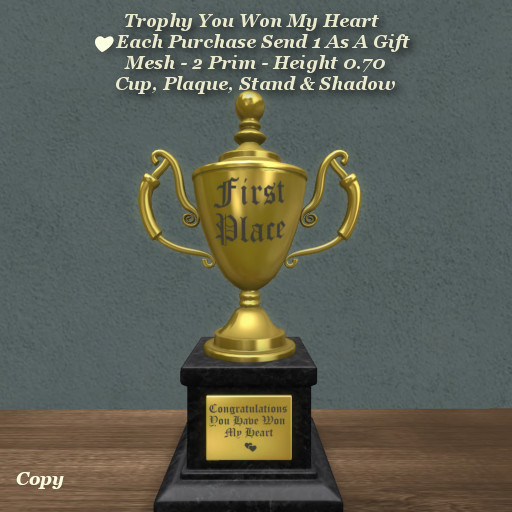 Trophy Won My Heart1